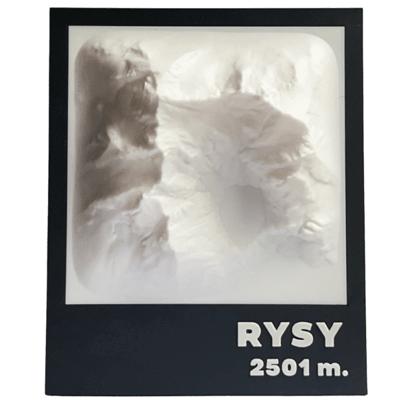 3D Warsztat - Model Rys