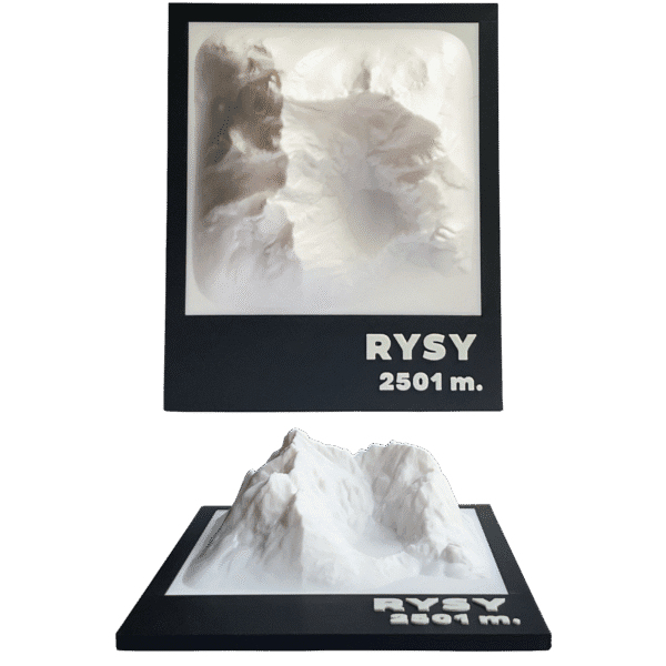 3D Warsztat - Model Rys